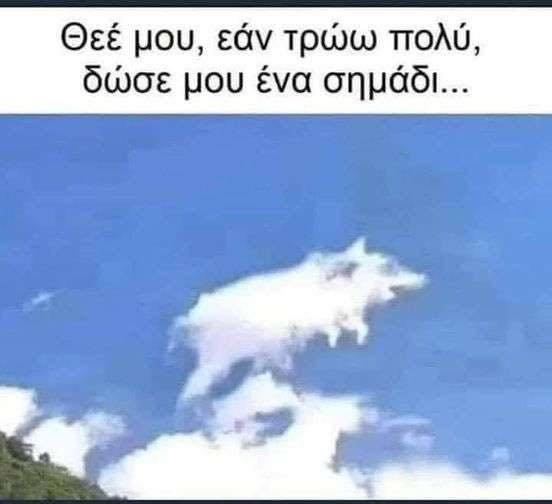 pig could.jpg