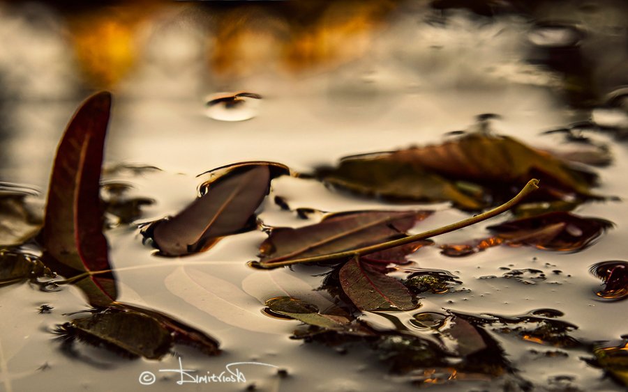 _1056817_DxO-AFG copy_WM.jpg