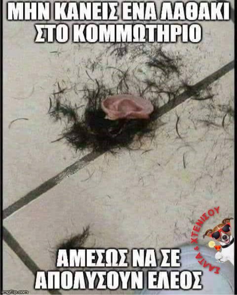 ένα αυτάκι δεν πηραζει.jpg