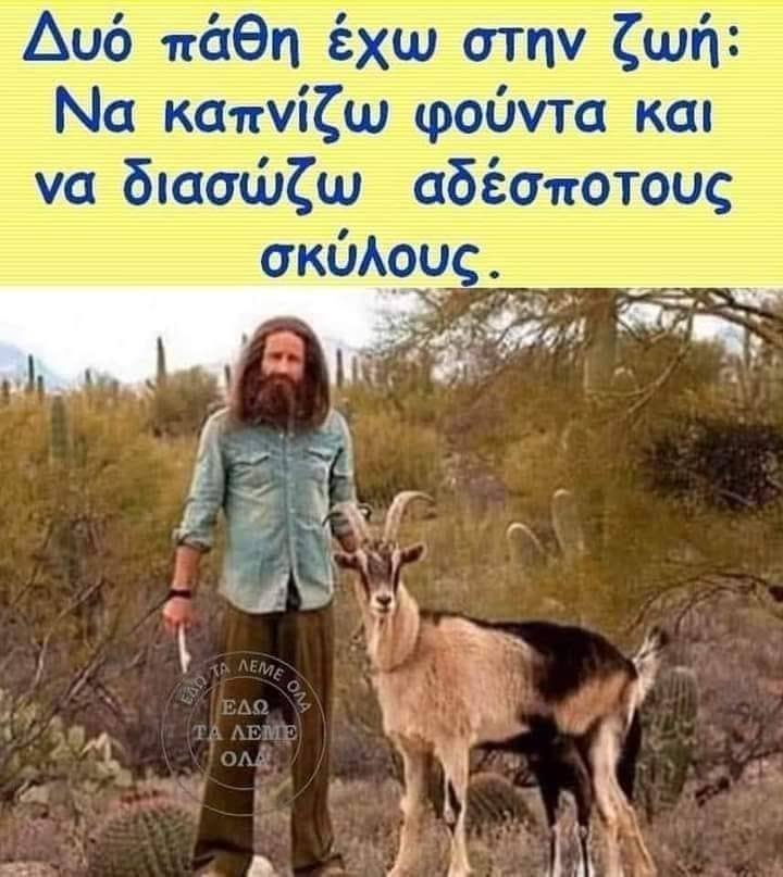 Σκύλο με κέρατα.jpg