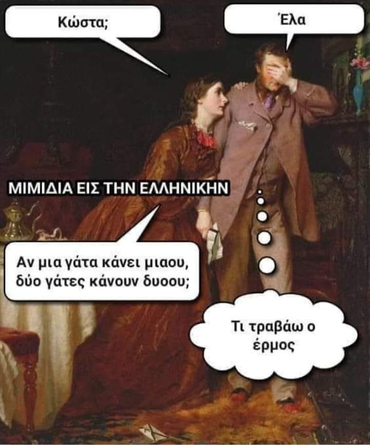 οι γάτες.jpg