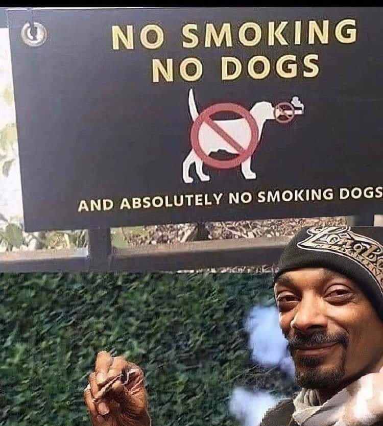 Snoopdog.jpg