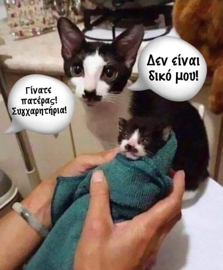 Δεν χρειάζεται DNA.jpg