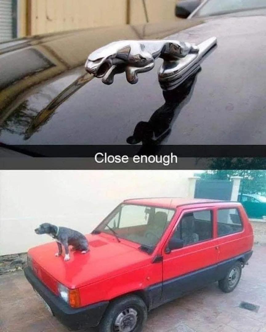 jaguar.jpg