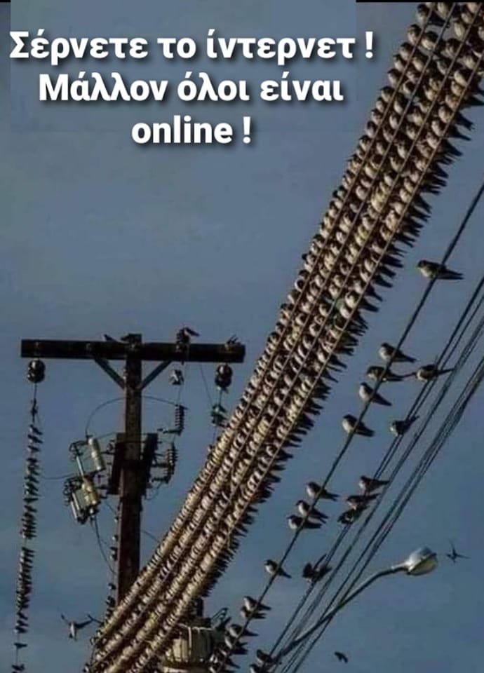internet.jpg