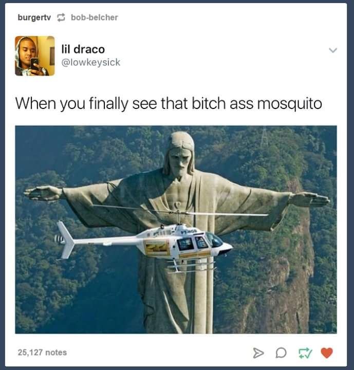 mosquito.jpg