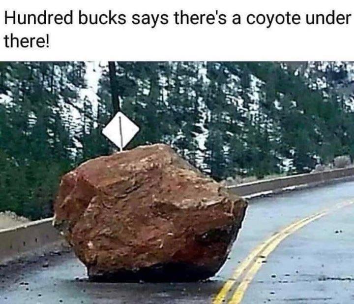 Beep beep.jpg