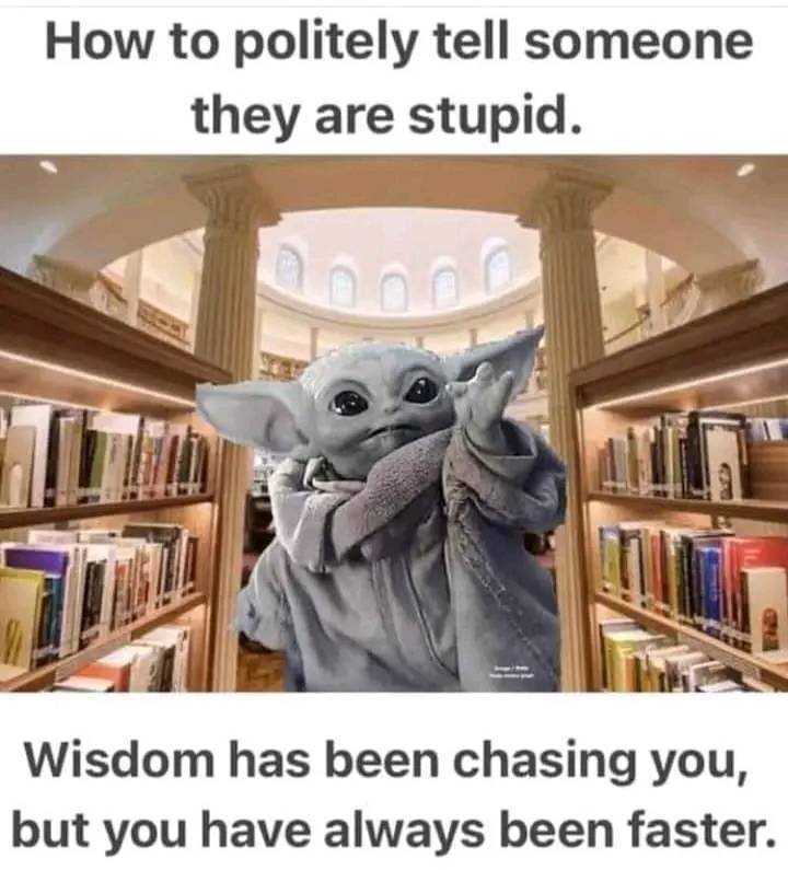 Chasing wisdom.jpg