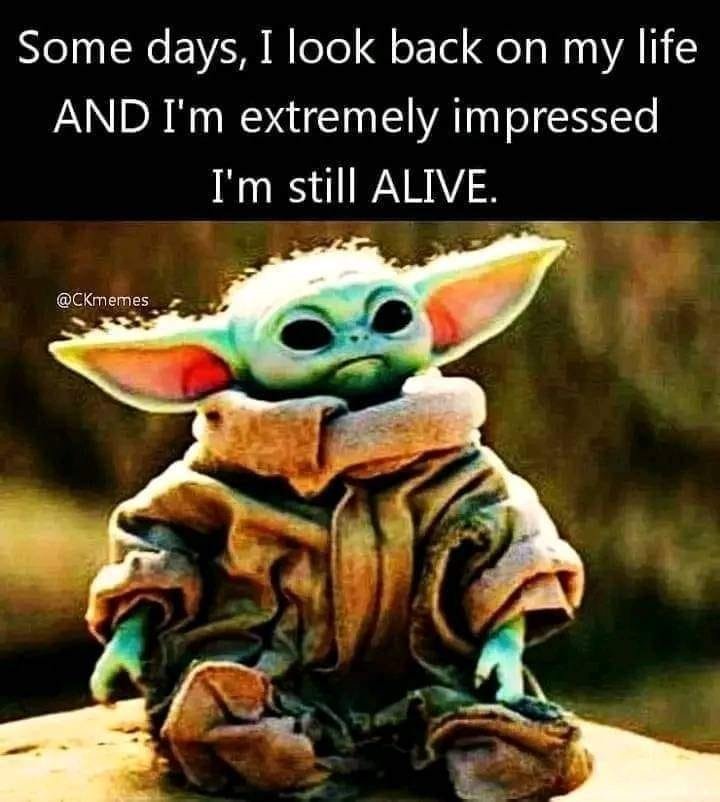 still alive.jpg