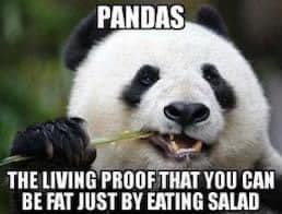 pandas.jpg