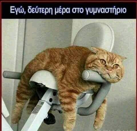 328501906_577755013910944_3301944496126986435_n.jpg