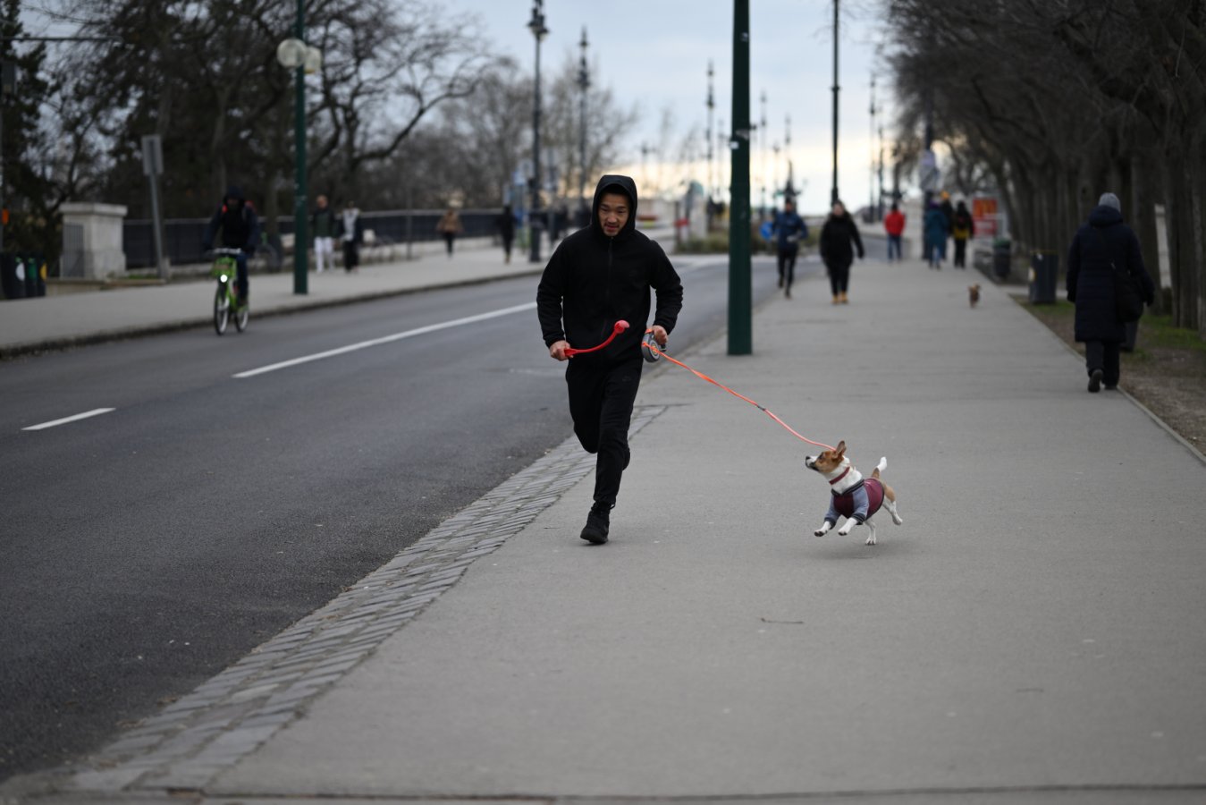 DSC_1032.JPG DSC_1032.JPG