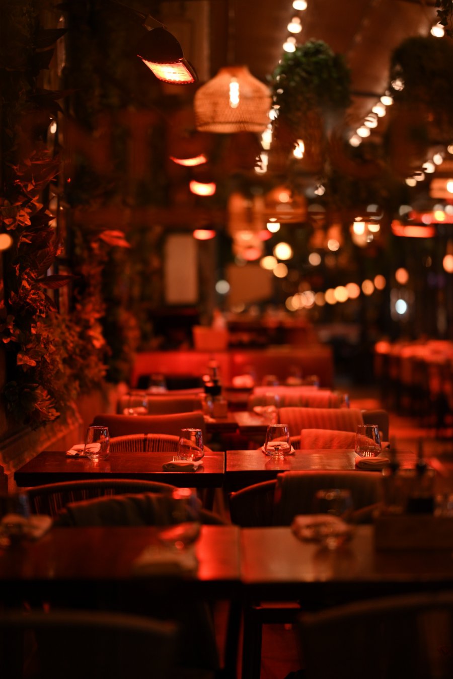 DSC_1126.JPG DSC_1126.JPG