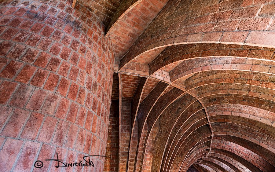 _1058978_DxO_AF copy_WM.jpg