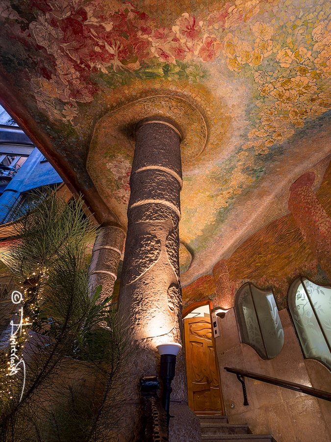 _1059249_DxO_AF copy_WM.jpg