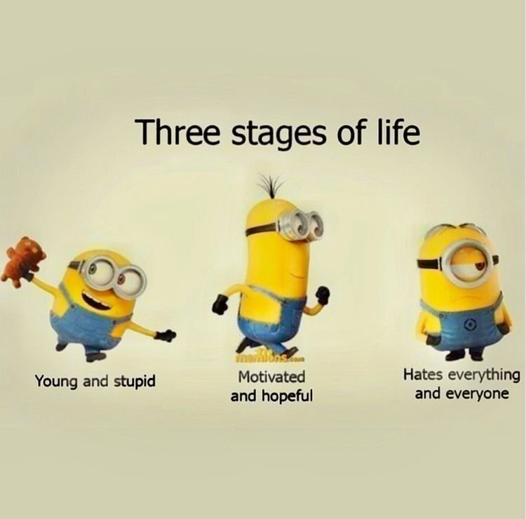 3 Stages Of Life.jpg