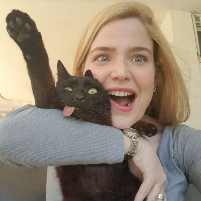 5.-Foolish-cats.jpg