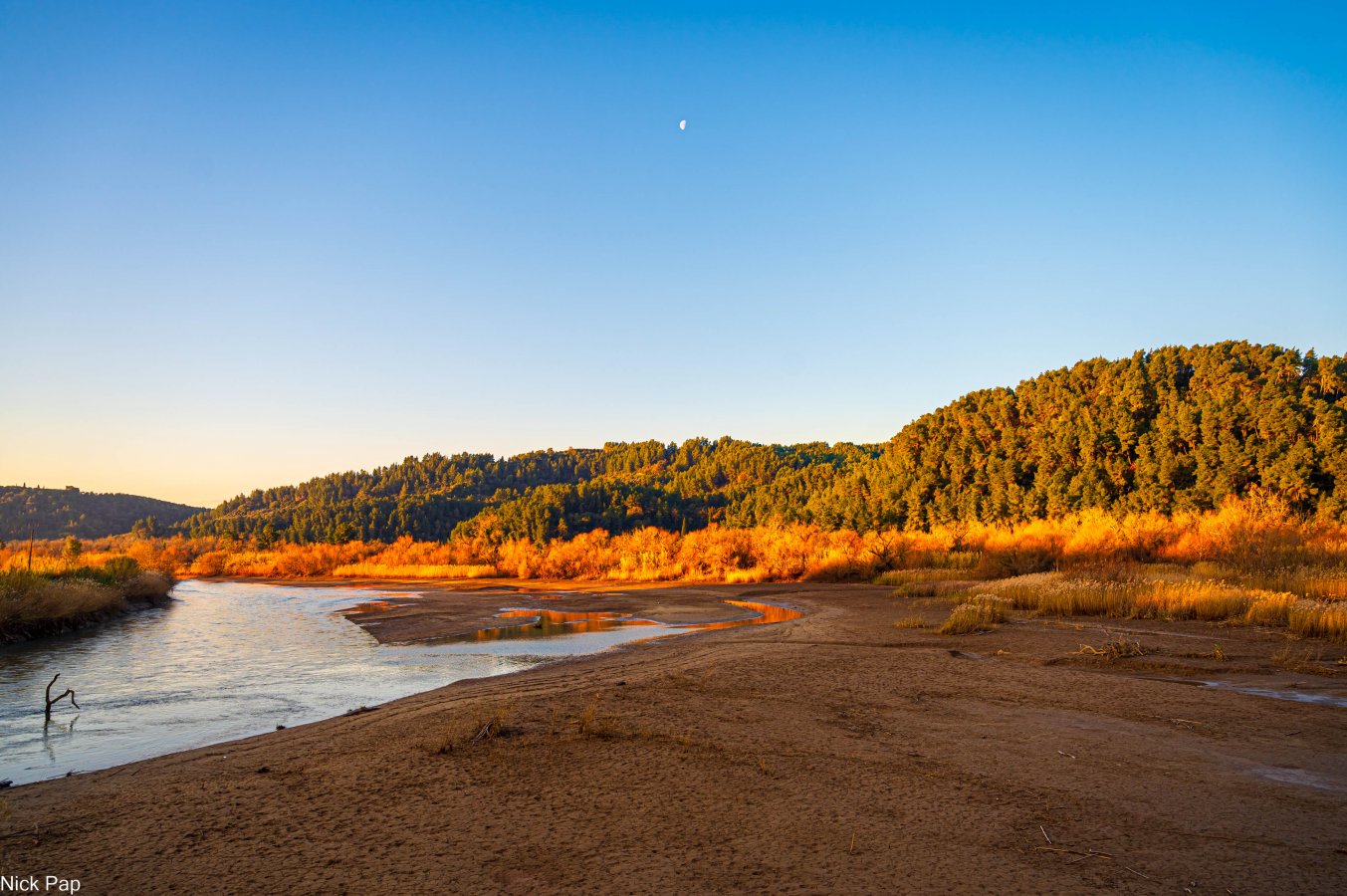 ZE6_1085-2.jpg ZE6_1085-2.jpg