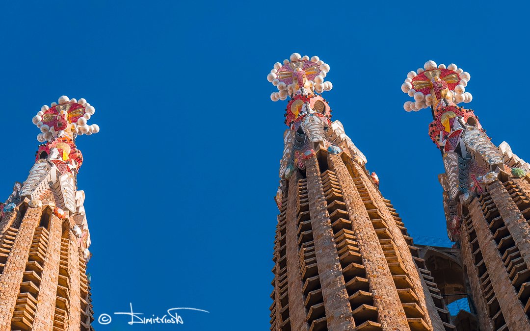 _1058161_DxO_AF copy_WM.jpg