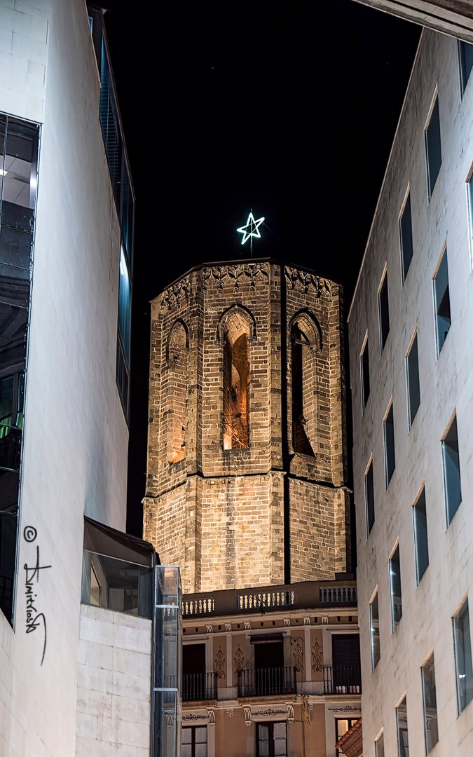 _1057674_DxO_AF2-ST copy_WM.jpg