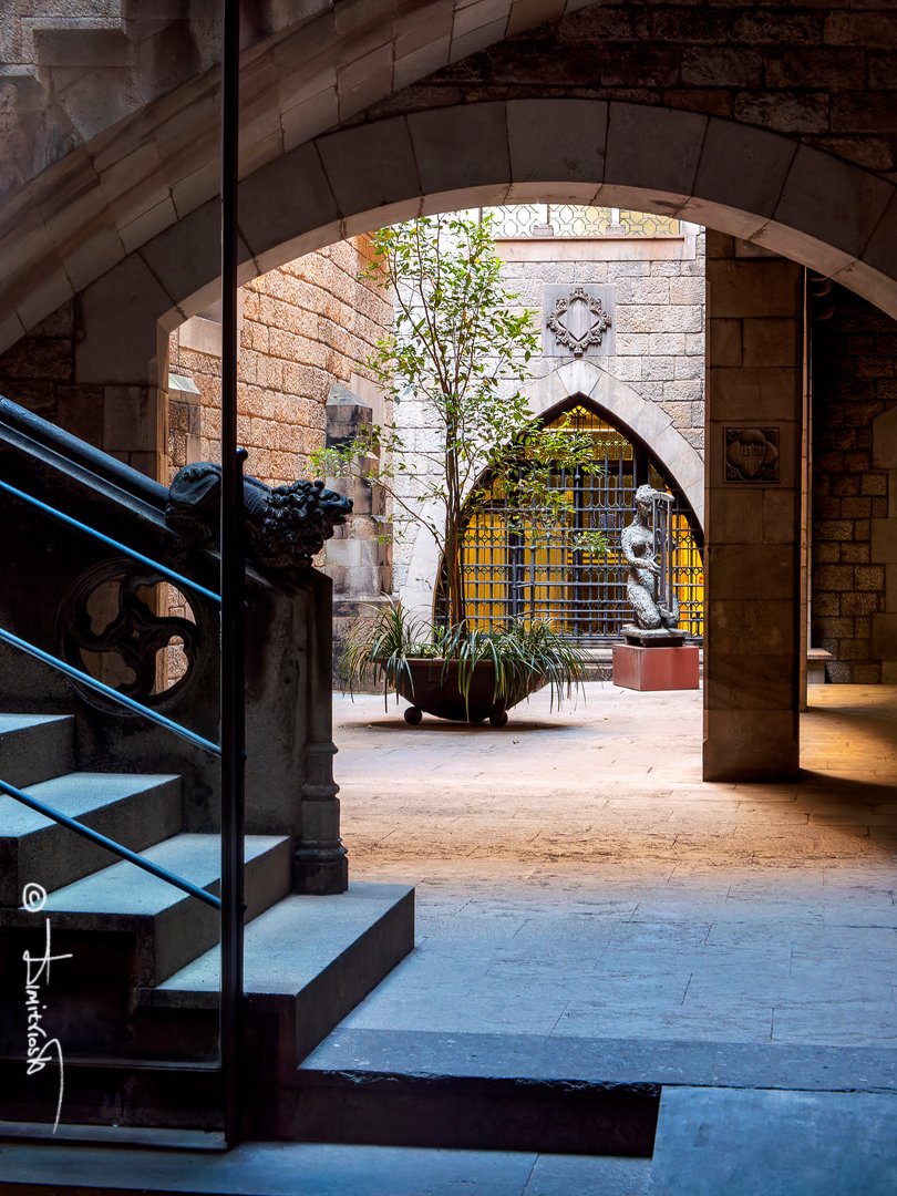 _1059377_DxO copy_WM.jpg