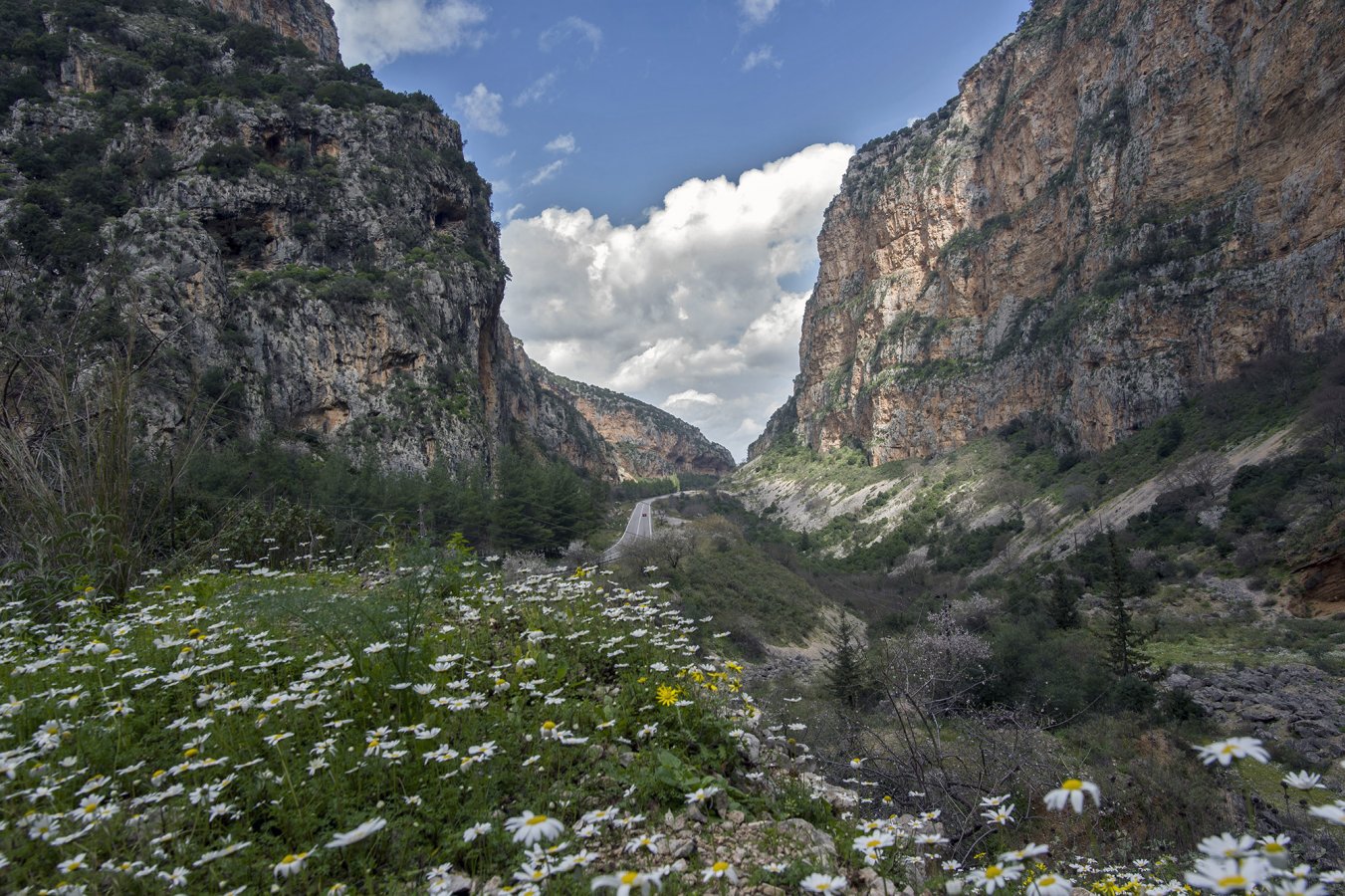 _DSC9561_1.jpg _DSC9561_1.jpg