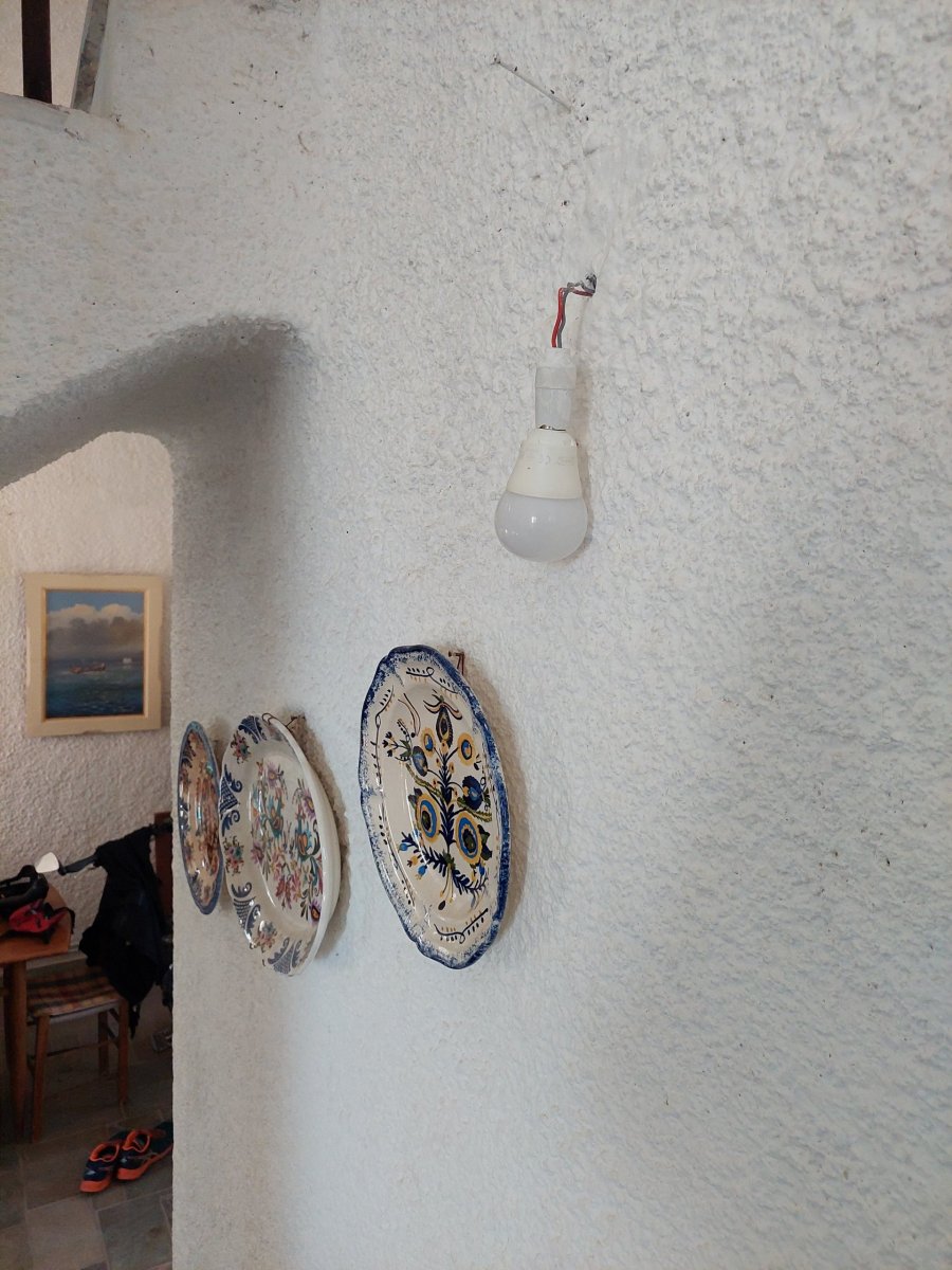 Image6419551878932811194.jpg