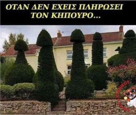 kipos.jpg