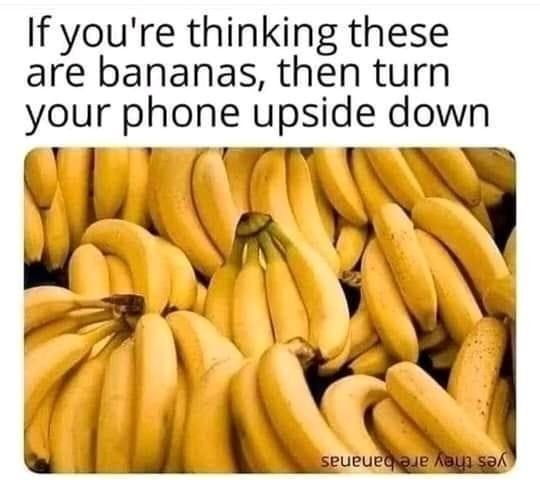 bananas.jpg