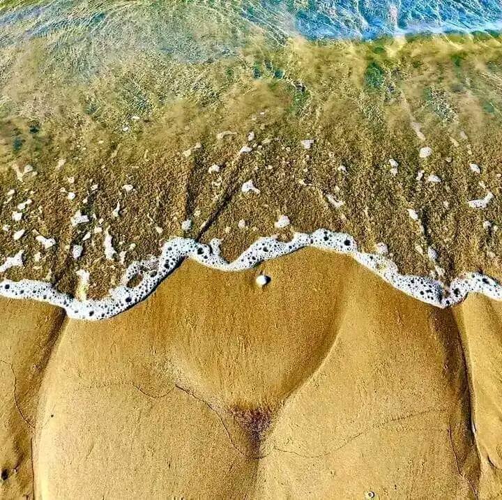 Nature beach.jpg