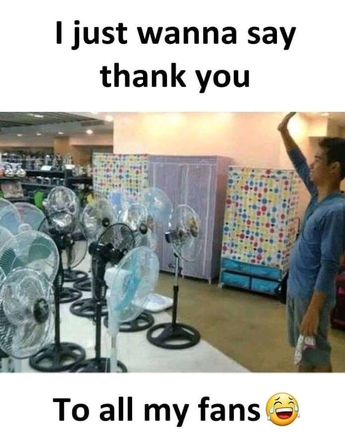 fans.jpg