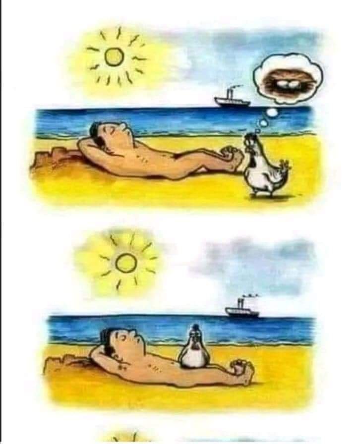 FB_IMG_1681551034681.jpg