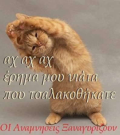 erima mou niata.jpg