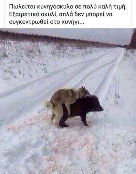 capture.jpg