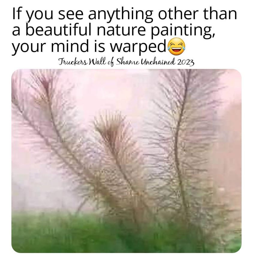 344192981_1418885892258324_7930829035679779958_n.jpg