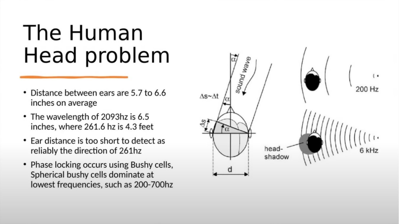 Human head problem.jpg