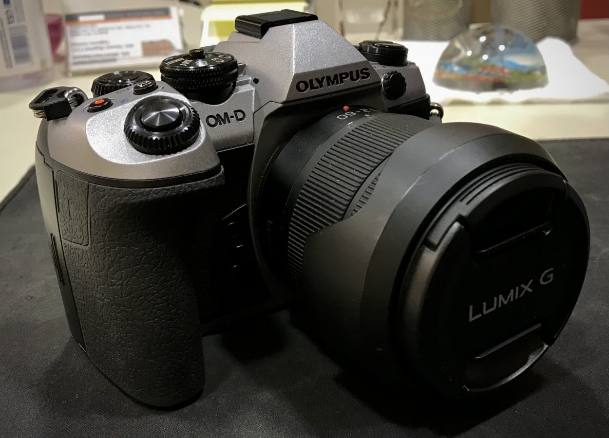 IMG_3495.jpeg IMG_3495.jpeg