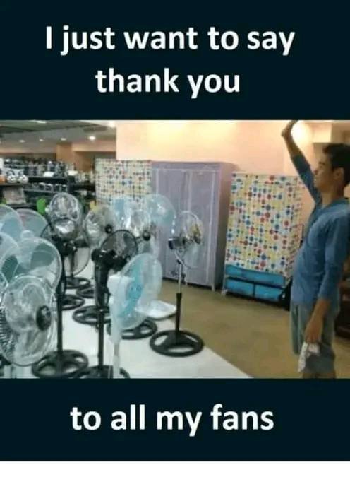 Too many fans.jpg