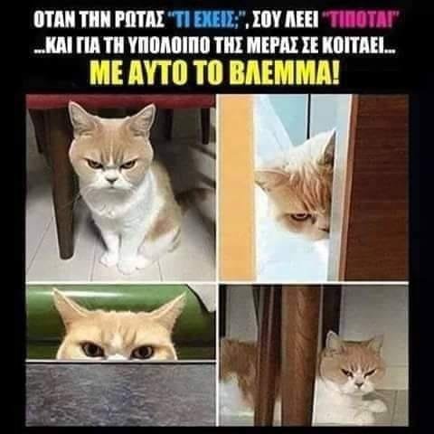 tipota.jpg