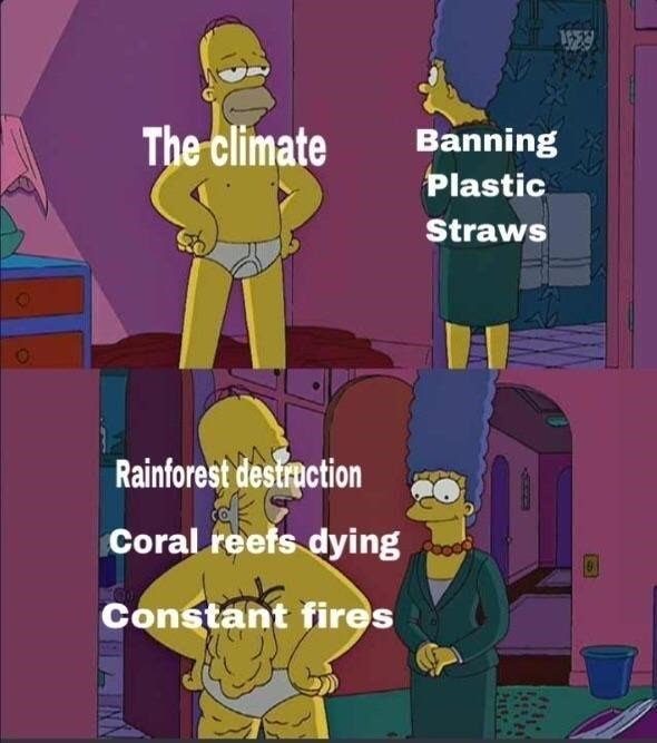 simpsons-meme-about-how-banning-plastic-straws-excludes-so-many-other-man-made-distructions.jpeg