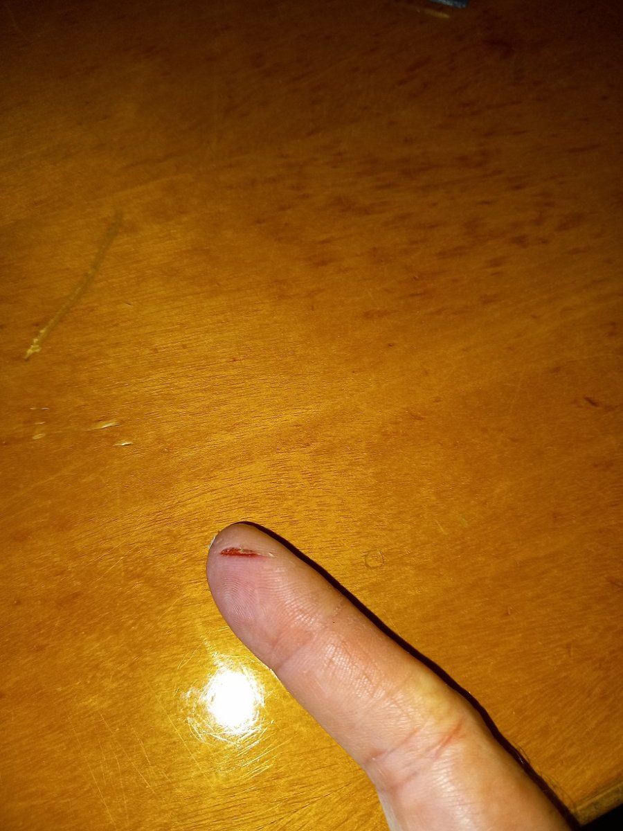 010.jpg