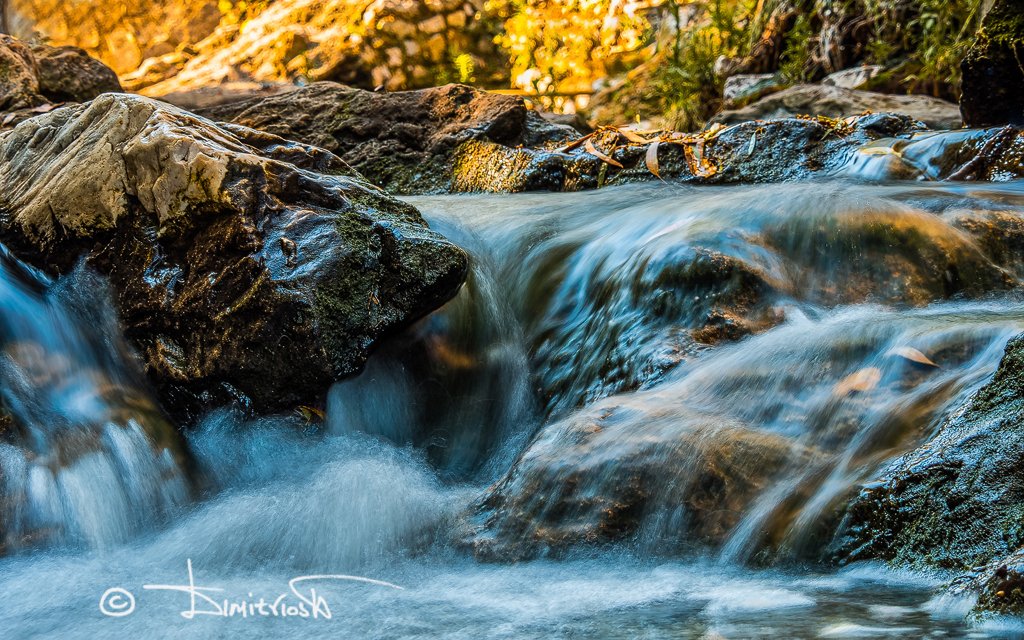 P6200224_DxO_AF copy_WM.jpg