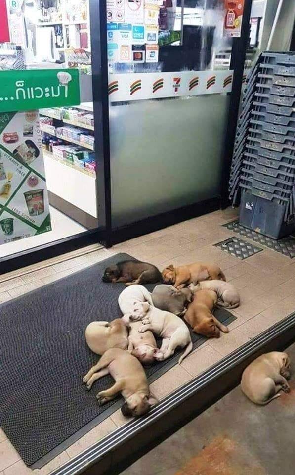 thailand 7-11.jpg