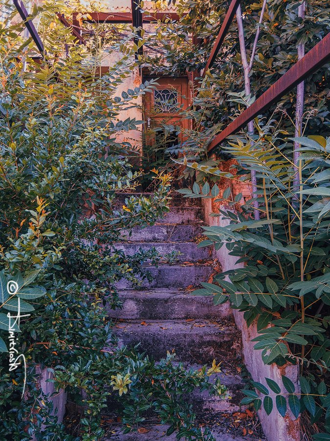 P6301113_DxO_AF-ST copy_WM.jpg