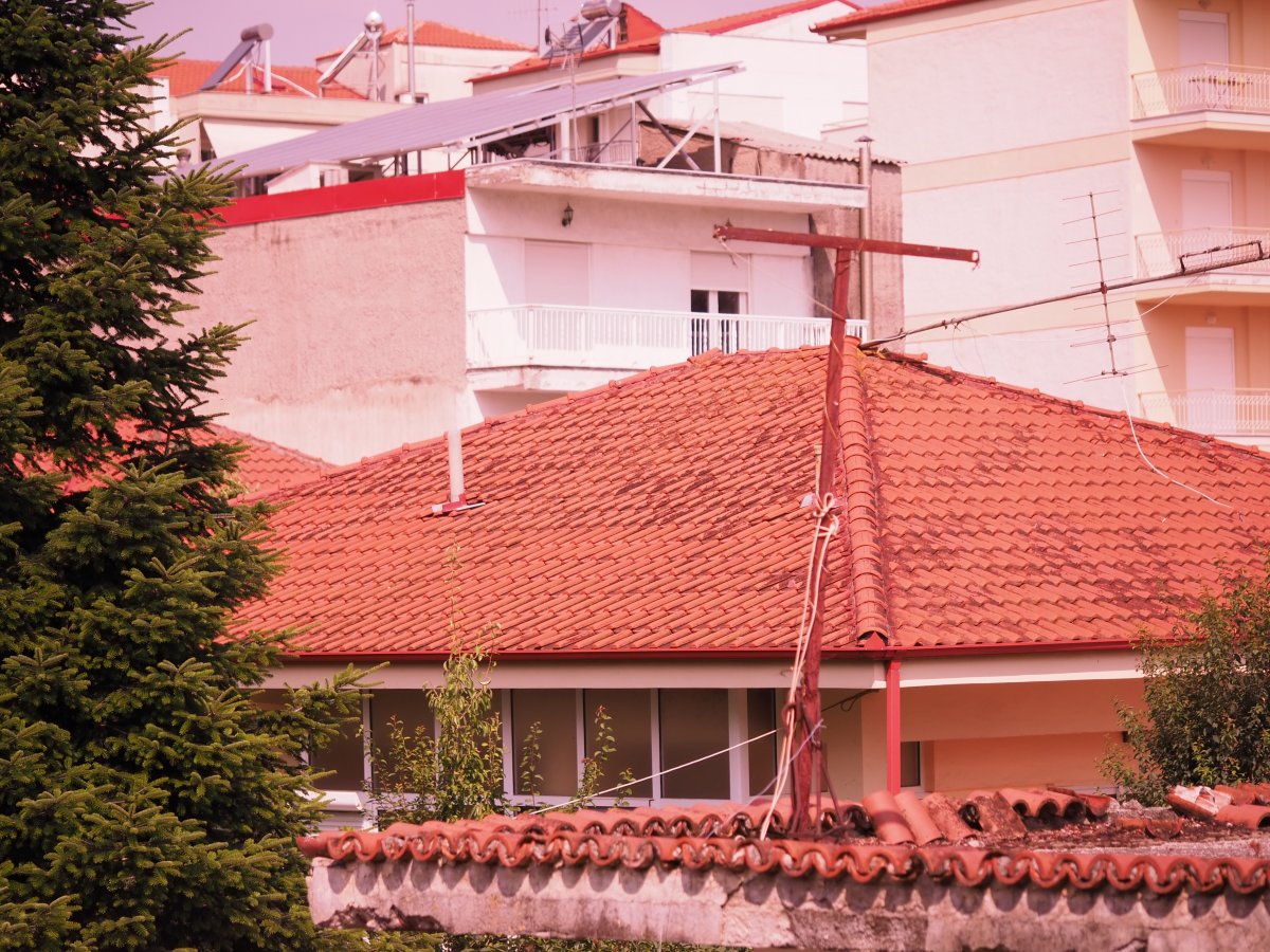 P1010007.JPG P1010007.JPG