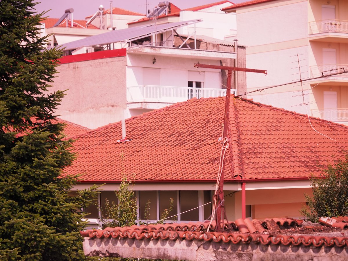 P1010008.JPG P1010008.JPG