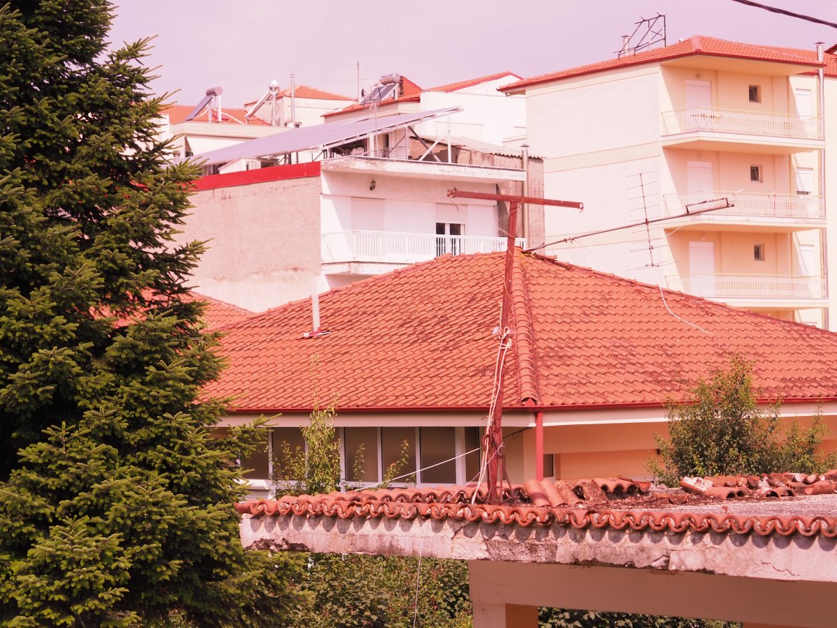 P1010009.JPG P1010009.JPG