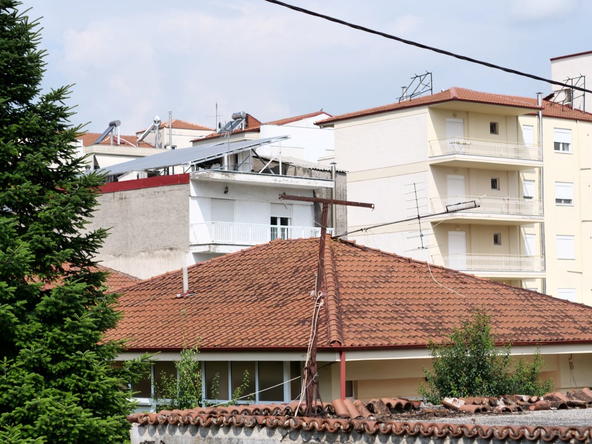 PLG92907s.jpg PLG92907s.jpg