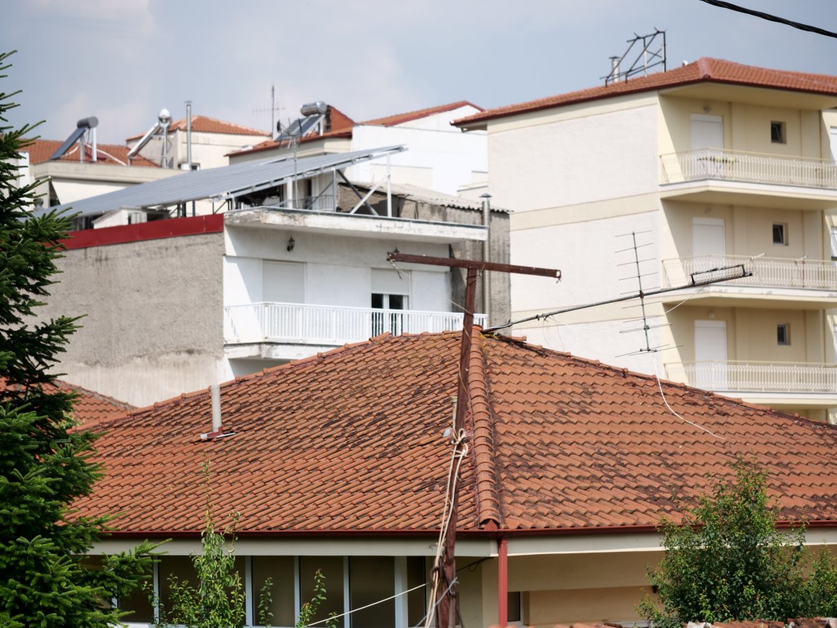 PLG92909s.jpg PLG92909s.jpg