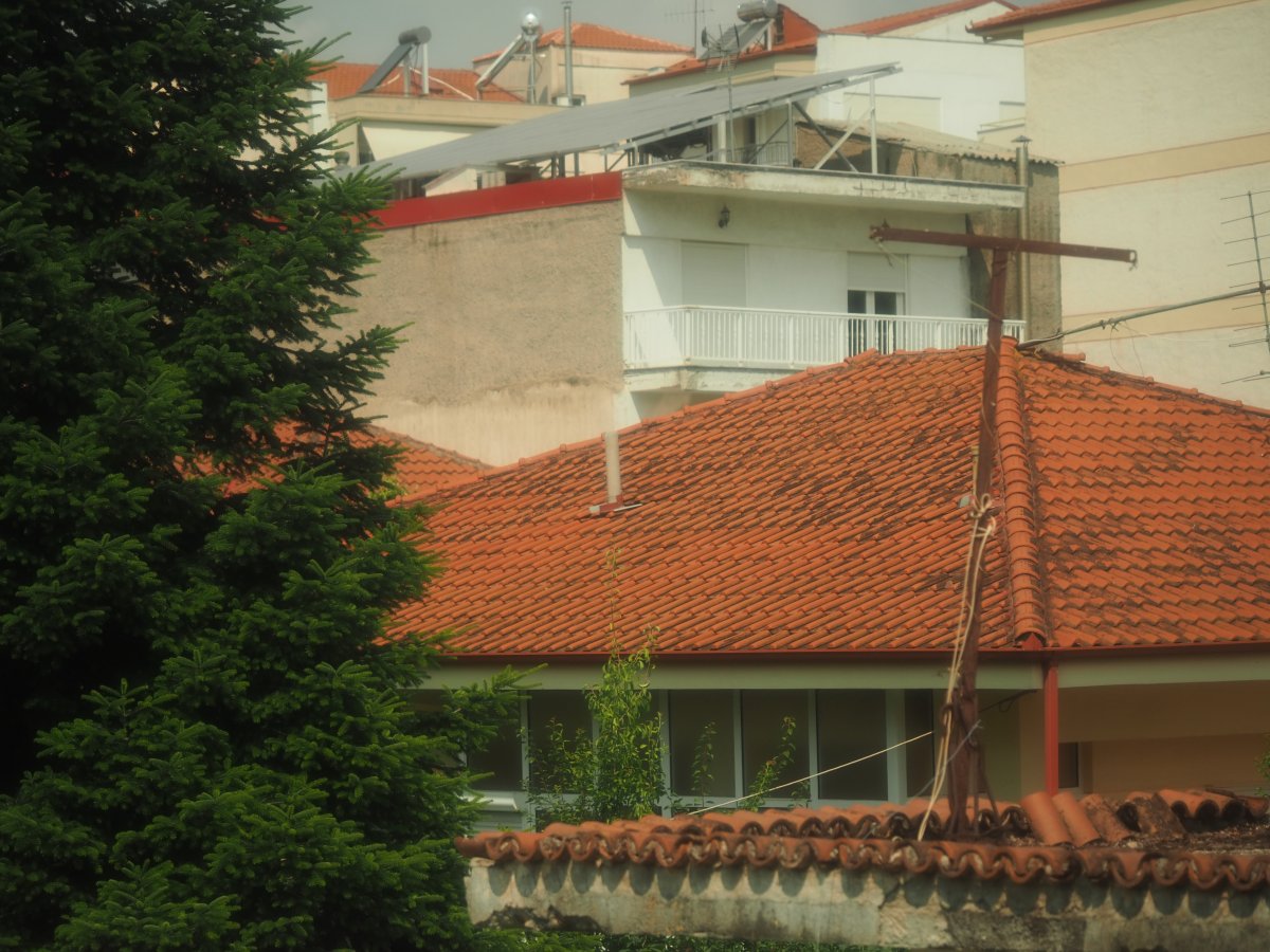 P1010011.JPG P1010011.JPG